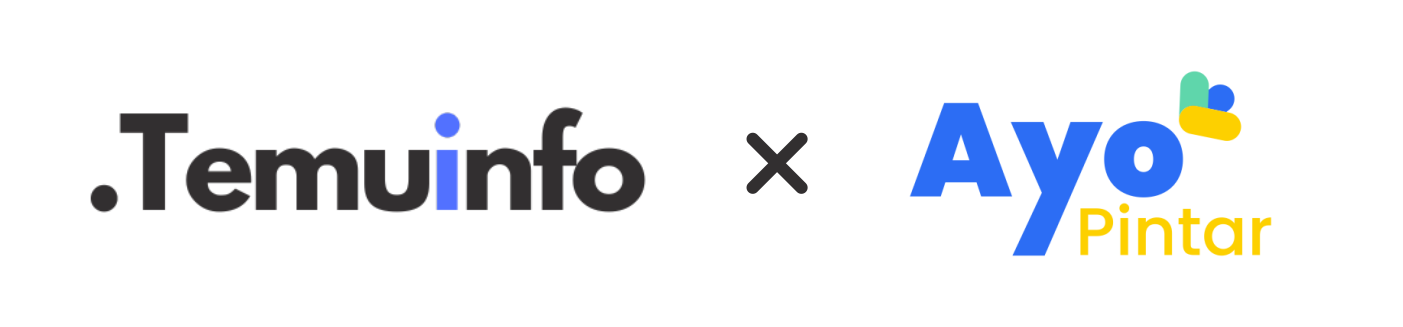 TEMU INFO Logo